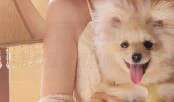 beautyleg – 精美“ChiChi白色”图包合集，带你探索清雅的摄影艺术.txt