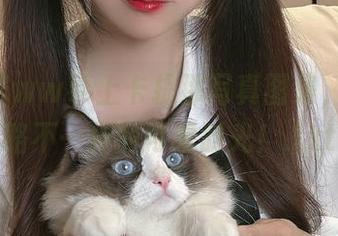 miko酱ww奉上卡提那写真图集，让你领略不一样的可爱时光！.txt