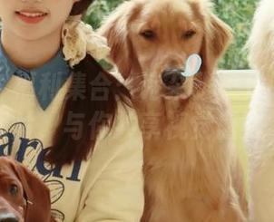 尤果网 – 福利集合：诗朵雅美足的动人写真图片，与你共享视觉盛宴.txt