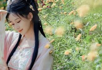 年年Nnian爱丽丝仙境写真公开，快来领取你的免费照片吧！.txt