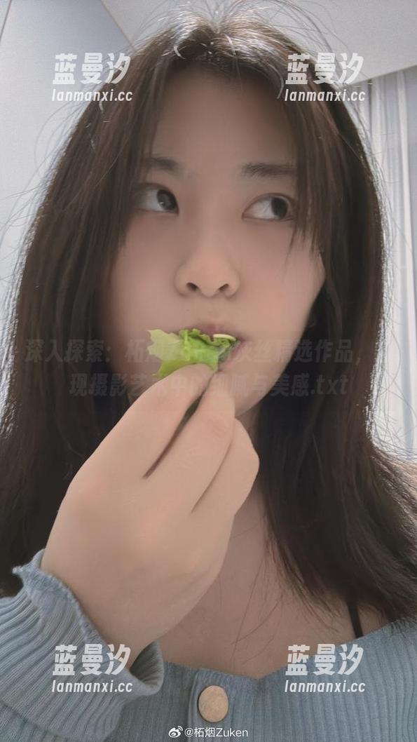 深入探索：柘烟Zuken灰丝精选作品，发现摄影艺术中的细腻与美感.txt