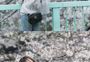 模范学院 – 繁花似锦中的白茹雪双马尾：浪漫写真图包推荐.txt