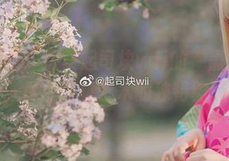 更新图集：探索起司块wii的“黑色护士”系列，尽享写真艺术的独特韵味！.txt